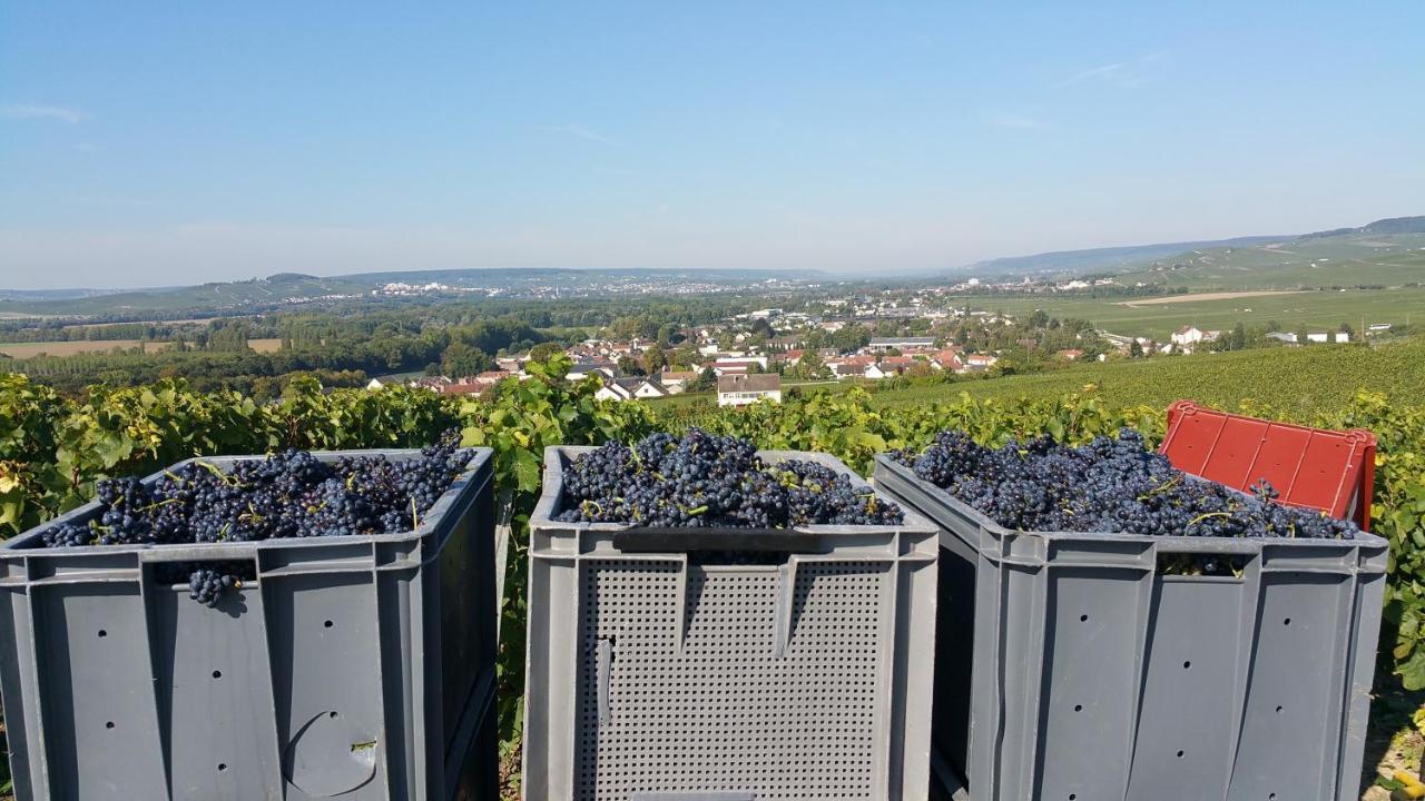 Terres Jaunes Avenay-Val-d'Or Exterior photo